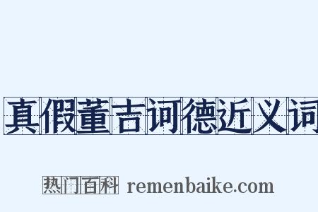 真假董吉诃德近义词是什么意思的图片